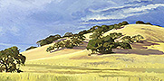 Petaluma-Oaks-dark-sky-lg