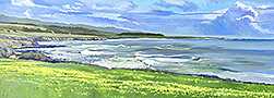 Pigeon-Point-w-Wildflowers-lg