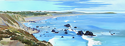 Salmon-Beach-Bodega-Bay-lg