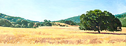 filoli-panorama-lg