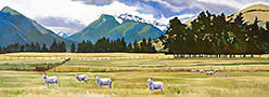 sheep-nr-glenorchy-lg