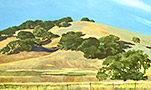 petaluma-favorite-Hill-lg