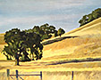 small-petaluma-hill-lg