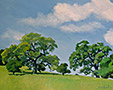 two-spring-oaks