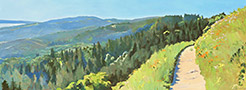 windy-hill-lg
