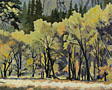 yosemite-trees-silhouette-lg