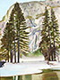 yosemite-between-trees-lg