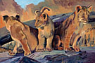 lion-cubs-lg